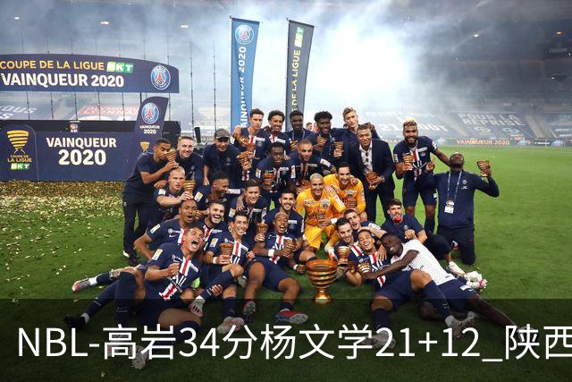 NBL-高岩34分杨文学21+12 陕西信达晋级总决赛